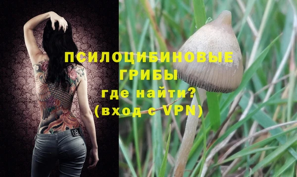 спиды Заволжье