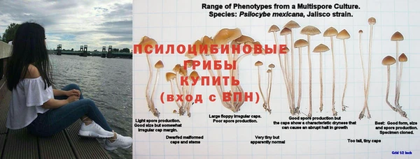 герыч Заволжск