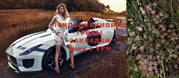 бошки Ельня