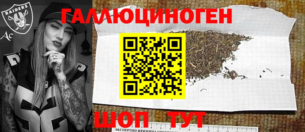 Псилоцибиновые грибы GOLDEN TEACHER Петропавловск-Камчатский
