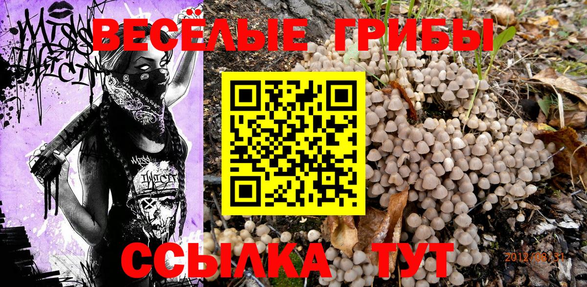 Псилоцибиновые грибы Cubensis  Вход с VPN  Петропавловск-Камчатский 