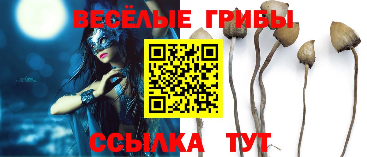 ГАШ  ГАШ  Канабис  NBOMe  Codein  Меф МЯУ МЯУ   Петропавловск-Камчатский  Вход с VPN  КОКАИН 