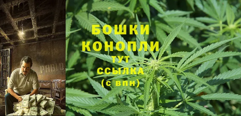 Конопля White Widow  закладка  Петропавловск-Камчатский 