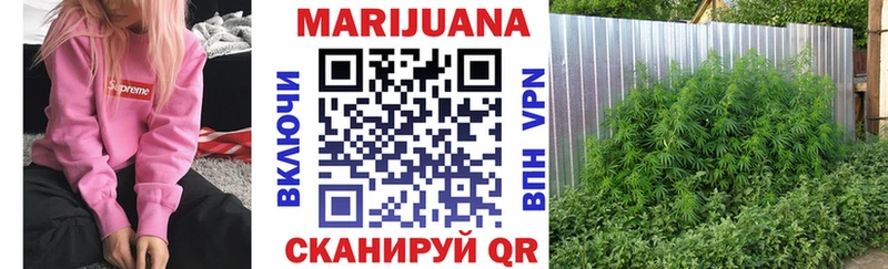Бошки марихуана тримм  наркота  Петропавловск-Камчатский 